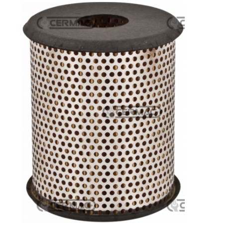 Immersed oil filter for ACME ADX300 ADX600 ADX740 engine | NewgardenAgri.com