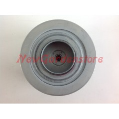 Filtre à carburant moteur CASE IH motoculteur CVX120 130 150 170 47108132 12724 | NewgardenAgri.com