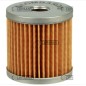 Fuel filter for agricultural machine CARRARO ANTONIO Carrarino Super engine