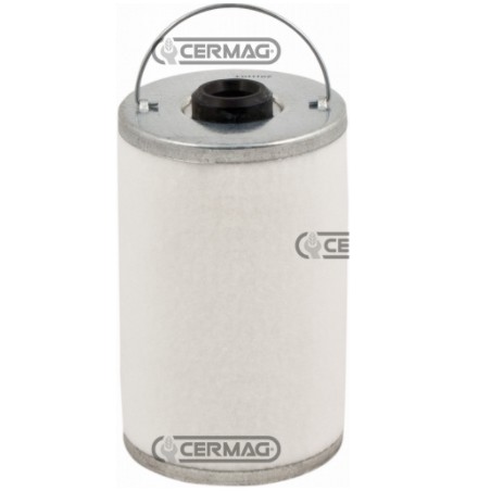 Fuel filter for agricultural machine engine CARRARO ANTONIO Tigrone 735 mot. Slanzi | NewgardenAgri.com