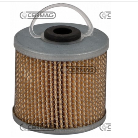 Fuel filter for agricultural machine engine FENDT F 12 HL - F 18 G - F 20 GH | NewgardenAgri.com