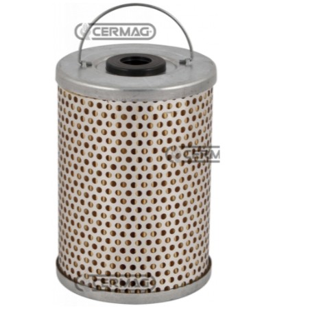 Filtro de aceite sumergido motor RUGGERINI RD 113 | NewgardenAgri.com