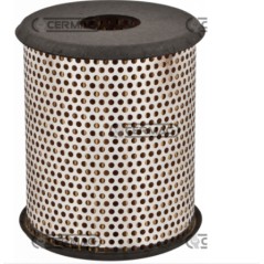 Submerged oil filter for agricultural machine engine FORD TRACTORS DEXTA | NewgardenAgri.com