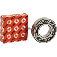 Rodamiento de bolas radial - FAG Dimensiones 55x100x21 mm 64587 FAG | NewgardenAgri.com