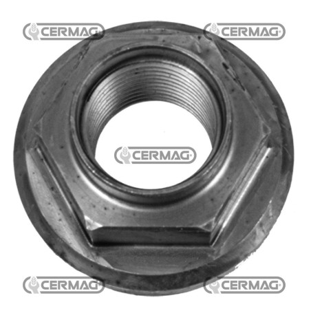 TRACTOR NUTS 60989 | NewgardenAgri.com