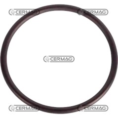 O-Ring 576819C | NewgardenAgri.com