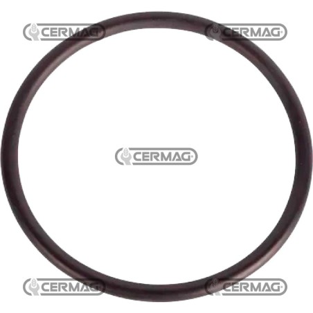 O-ring 576819C | NewgardenAgri.com