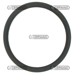 Thermostatventildichtung 4823212C | NewgardenAgri.com