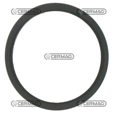 thermostatic valve gasket 4823212C | NewgardenAgri.com