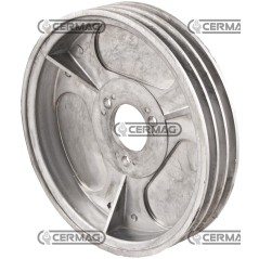 PULEGGIA Ø 270 MM 60584 | NewgardenAgri.com