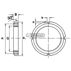 Threaded locking ring G M 100x2 61524