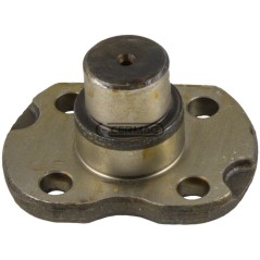 CAP JOINT PIN CA128904 CARRARO SPA | NewgardenAgri.com