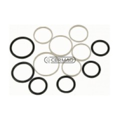 Kit de juntas para la tapa delantera y trasera del distribuidor BOSCH 84149 | NewgardenAgri.com