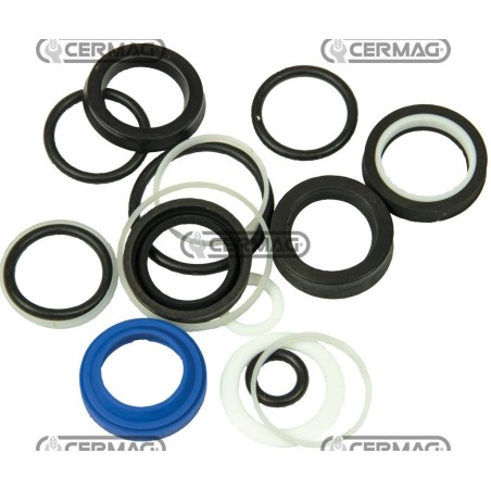 kit guarnizioni per sezione distributore BOSCH 84150 | NewgardenAgri.com