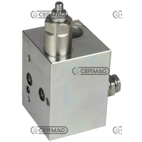 Cabezal de entrada para línea sensible para bombas de caudal variable - 120 L - 3/4" 83851 Grupo Rexroth Bosch