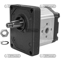 Bomba de engranajes GRUPO 2 Cónica 1:8 Cilindrada 8 cc Rotación derecha 95134 HighQuality_GOLD | NewgardenAgri.com