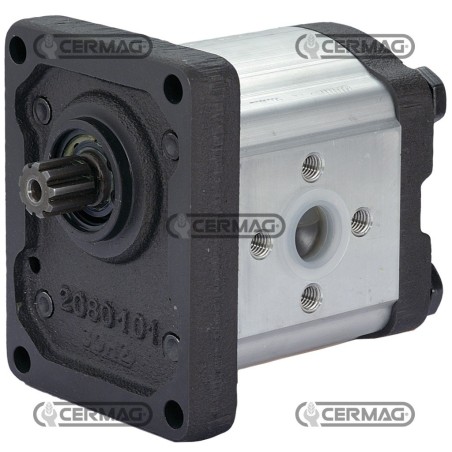 Bomba de engranajes GRUPO 2 Cilindrada 14 cm³ Eje 17x14 - Z.9 Derecha Rotación 81673 Madeineurope | NewgardenAgri.com