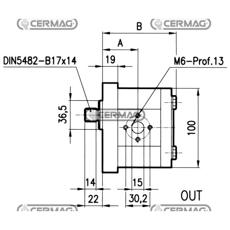 Bomba de engranajes GRUPO 2 Cilindrada 19 cm³ Eje 17x14 - Z.9 Derecha Rotación 81002 Madeineurope