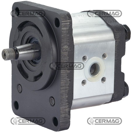 Bomba de engranajes GRUPO 2 Cilindrada 12 cm³ Conicidad 1:5 Rotación izquierda 83237 Madeineurope | NewgardenAgri.com