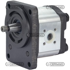 Bomba de engranajes GRUPO 2 Cilindrada 14 cm³ Conicidad 1:5 Rotación izquierda 83239 Madeineurope | NewgardenAgri.com