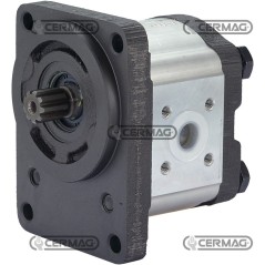 Bomba de engranajes GRUPO 2 Cilindrada 14 cm³ Eje 17x14 - Z.9 Izquierda Rotación 83250 Madeineurope | NewgardenAgri.com
