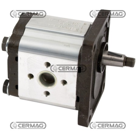 Bomba de engranajes GRUPO 2 Cilindrada 25 cm³ Rotación derecha 83351 Fabricada en Italia | NewgardenAgri.com