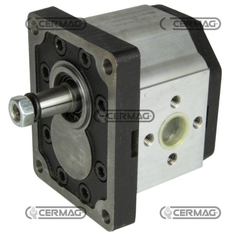 Bomba de engranajes estándar GRUPO 3 Cilindrada 31 cm³ Rotación derecha 82170 Fabricada en Italia | NewgardenAgri.com