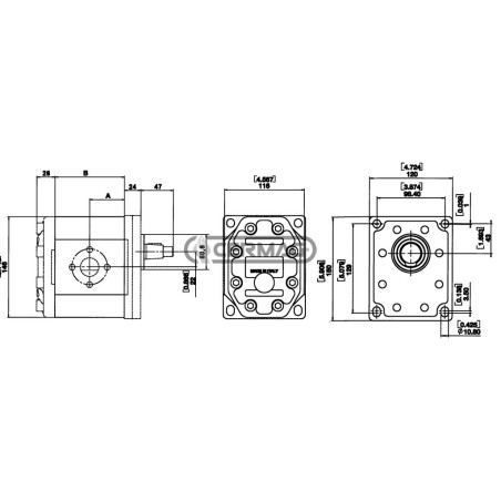Bomba de engranajes estándar GRUPO 3 Cilindrada 61 cm³ Rotación derecha 82175 Fabricada en Italia