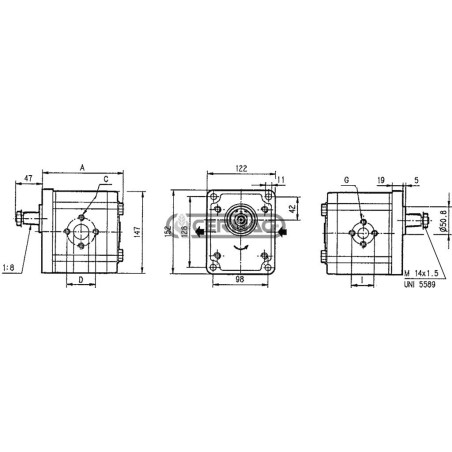 Bomba de engranajes GRUPO 3 - PLP30 Cilindrada 61 cm³ Rotación derecha 83737 Casappa