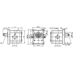 Bomba de engranajes PLP30 y tapa PLP35. Cilindrada 43 cm³. Rotación izquierda. 83776 Casappa