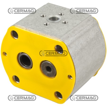 Sezione intermedia per pompa GRUPPO 2 - PLP20 Cilindrata 20 cm³ 83717 Casappa | NewgardenAgri.com