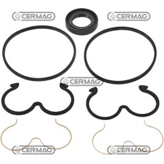 Kit guarnizioni per pompe GRUPPO 3 82077 | NewgardenAgri.com