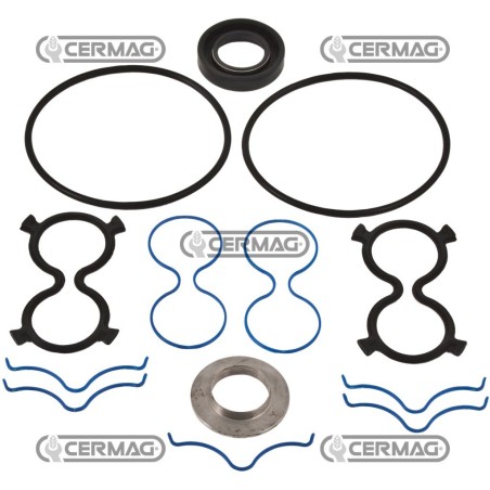 Kit guarnizioni per pompe GRUPPO 2 83588 | NewgardenAgri.com