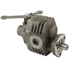 Bomba hidráulica de la serie estándar con distribuidor. Presión máxima: 180 bar. Modelo 80635. | NewgardenAgri.com
