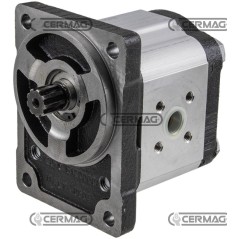 Umkehrmotor GRUPPE 2 für selbstansaugende Pumpen, Hubraum 11 cm³, externer Abfluss, 83056, Hergestellt in Italien | Newgarden...