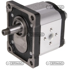 Motorreductor bidireccional GRUPO 2 Cilindrada 17 cc 82165 Fabricado en Italia | NewgardenAgri.com