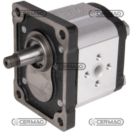 Motorreductor bidireccional GRUPO 2 Cilindrada 17 cc 82165 Fabricado en Italia | NewgardenAgri.com