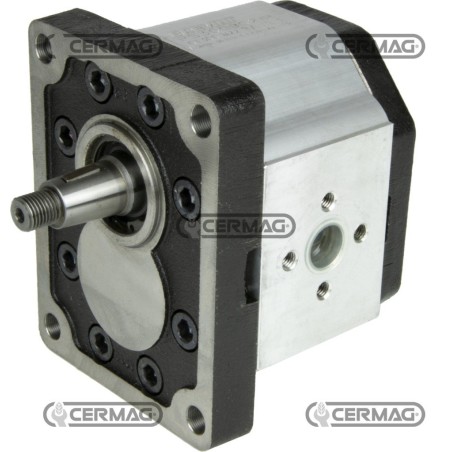 Motorreductor bidireccional GRUPO 3 Cilindrada 61 cc 82193 Fabricado en Italia | NewgardenAgri.com