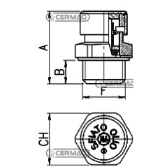 Brass vent cap with labyrinth and filter 1/2" Gas thread 84019 Miselli