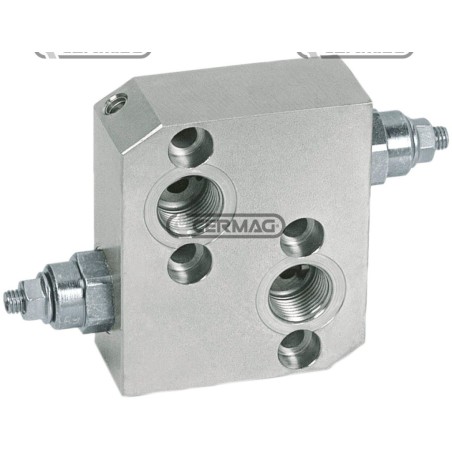 Stoßdämpfungsventil für OMP/OMR-OMS-Orbitalmotoren, Durchflussrate 50 l/min, Anschlüsse 1/2", GAS 82222, Hergestellt in Itali...