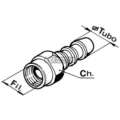 Raccordo femmina per bassa pressione Diametro del tubo 3/8" - 10 mm Filetto 3/8" Gas 81932