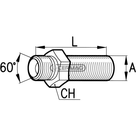 Racores de mamparo con tuerca de seguridad Rosca - A 3/4" Gas 81563