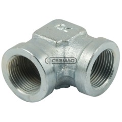 Adaptateur femelle en L - Filetage femelle - F 1/2" Gaz 81172 | NewgardenAgri.com