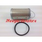 Ölfilter Öl-Dieselmotor CARRARO SPA Motorgrubber C3 C23 230 300