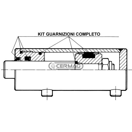 Kit guarnizioni per cilindro a doppio effetto Alesaggio 60 mm Diametro dello stelo 30 mm 82992 | NewgardenAgri.com