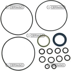 kit guarnizioni per idroguida 84623 Ognibene | NewgardenAgri.com