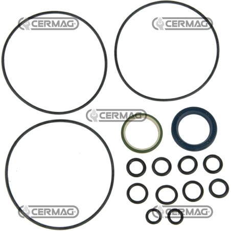 kit guarnizioni per idroguida 84623 Ognibene | NewgardenAgri.com