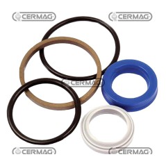 Kit de juntas para cilindro de dirección 9966100C | NewgardenAgri.com