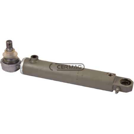 Cilindro di sterzo Lunghezza 377 mm 80390 Ognibene | NewgardenAgri.com