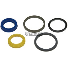 Steering Cylinder Gasket Set 83928 Ognibene | NewgardenAgri.com